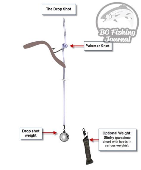 How to Rig Plastic Baits (Texas, Carolina & Drop Shot) - BC Fishing Journal