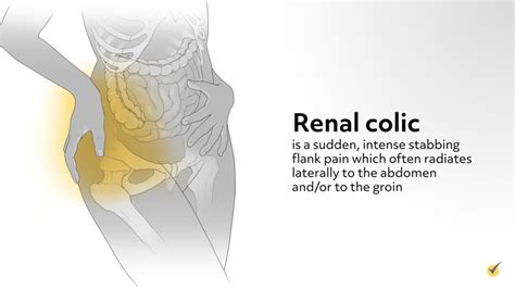 Colic: Causes, Symptoms, and Treatment Options (Video)