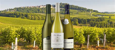 Sancerre | Local Wine Appellation From Cher, France