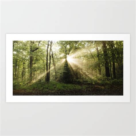 Chattahoochee National Forest Art Print by Andrew Wagner: Photographer ...