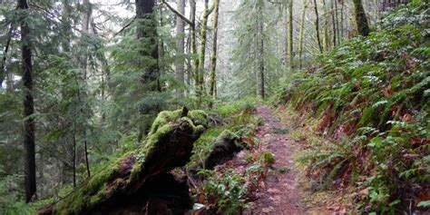 10 Classic Hikes Near Eugene, Oregon - Outdoor Project