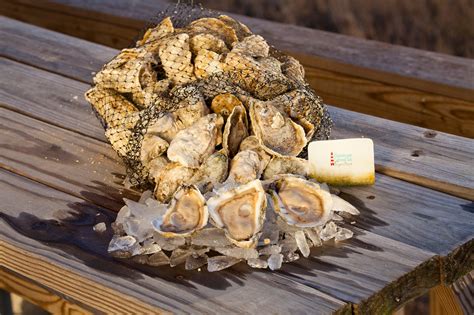 Chincoteague Salts: The Saltwater Cowboy's Oyster – Cherrystone Aqua-Farms