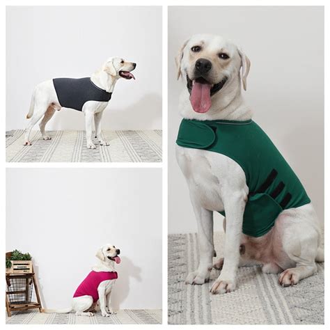 Buy Dog Anxiety Vest - Online Best Price 2022 - MOLOOCO