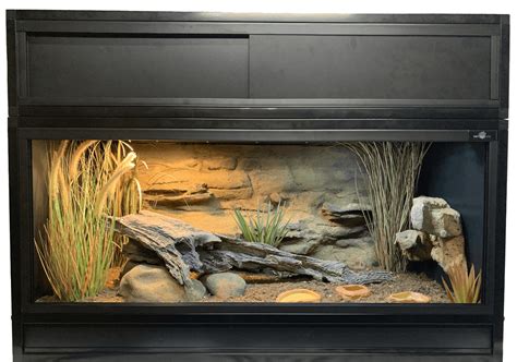 Sudan Plated Lizard Enclosure Size Requirements | ReptiFiles