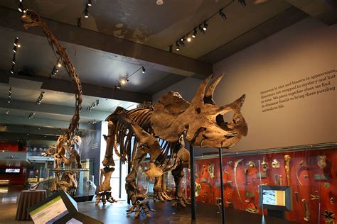 Dinosaur Hall at Museum of Natural History of Los Angeles | Flickr