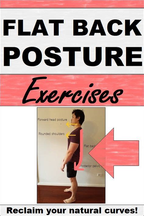 9 Flat back posture ideas in 2021 | postures, shoulder blade muscles, posture exercises