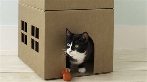 How to Make a Cardboard Cat Playhouse | Martha Stewart