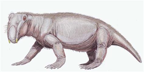 Mesozoic Era Animals List: Animals That Lived In The Mesozoic Era