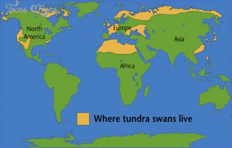 Map Of Arctic Tundra | Draw A Topographic Map