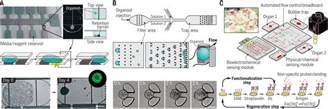 Multiorgan-on-a-Chip: A Systemic Approach To Model And, 59% OFF