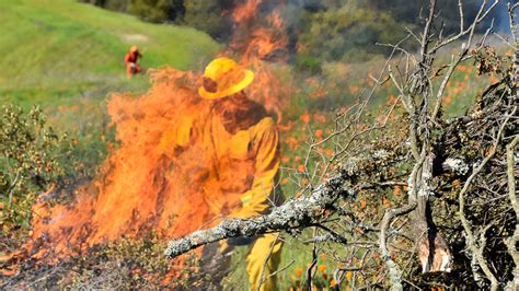 Coronavirus in California: Controlled Burns Could Cause Respiratory Issues for Covid-19 Patients ...