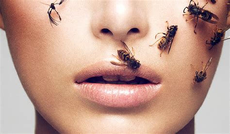 Bee Venom as a Luxury Ingredient in Skincare: Top 10 Products to Choose