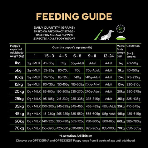 Feeding Chart For Puppies | ubicaciondepersonas.cdmx.gob.mx