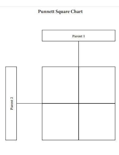 Punnett Square - 13+ Examples, How to Use, PDF