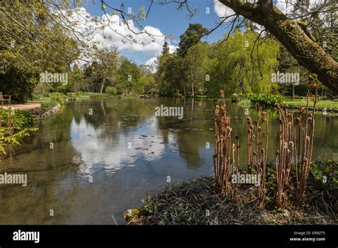 Longstock Park Water Garden, John Lewis Leckford Estate, Stockbridge ...