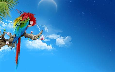 Parrot OS Desktop Wallpapers - Wallpaper Cave