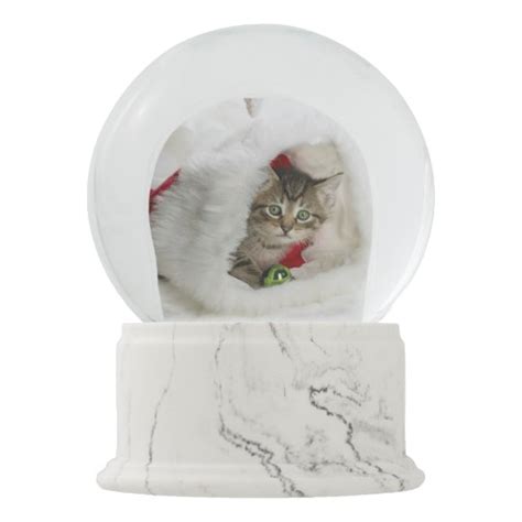 Christmas Cat Snow Globe | Zazzle.com