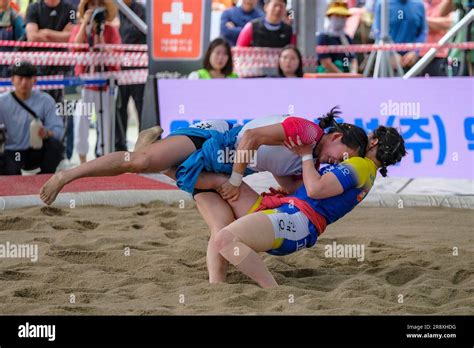 Gangneung, South Korea - June 20, 2023: Ssireum or Korean wrestling at the Gangneung Danoje ...