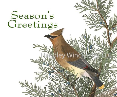 Audubon Holiday Card Set A2 12 Cards two each of 6 styles w/ | Etsy