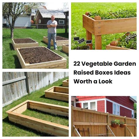 22 Vegetable Garden Raised Boxes Ideas Worth a Look | SharonSable