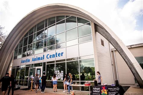 Despite efforts at Austin Animal Center, high shelter demand requires community engagement ...