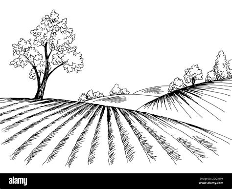 Field graphic black white landscape sketch illustration vector Stock ...