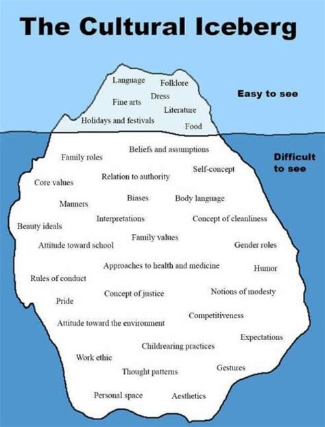 The Cultural Iceberg | Culture, Medicine humor, Family roles