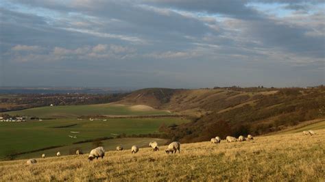 14 Breathtakingly Beautiful Places in Bedfordshire to Take a Date for Free - LifeHack