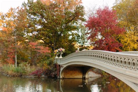 Photo Essays: The Bow Bridge in Autumn - York Avenue