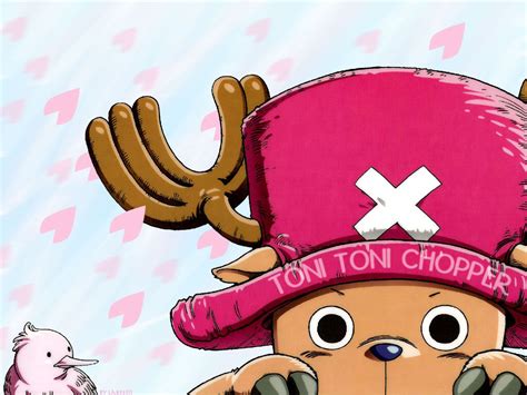 Chopper!!! - Chopper(One piece) Photo (23801964) - Fanpop