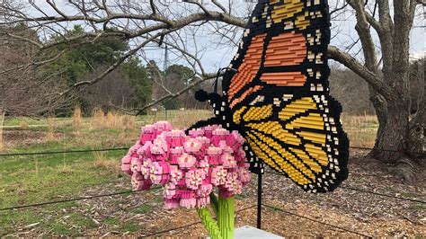 Giant LEGO sculptures on display at Norfolk Botanical Garden ...