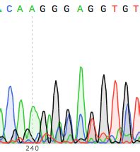 How to properly analyze and troubleshoot DNA sequencing results - Bitesize Bio