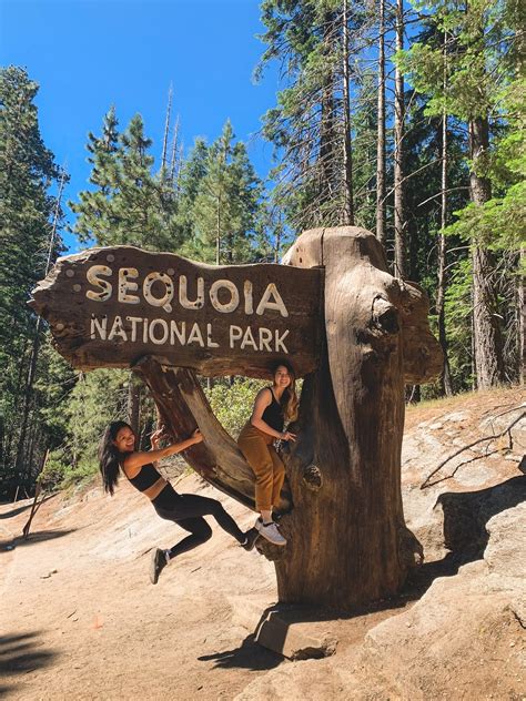 My 24 Hour Road Trip to Sequoia National Park — nickfjord.com