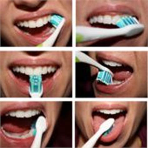 How to Brush Your Teeth Properly (Dental Care)