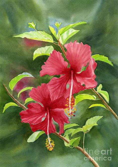 Red Hibiscus With Background Painting by Sharon Freeman