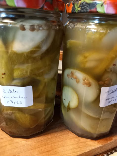 Sweet and sour pickles are fermenting : r/fermentation