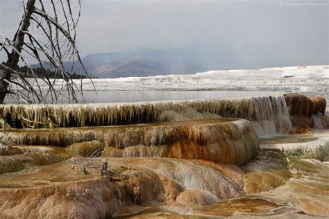 Mammoth Hot Springs Waterfall