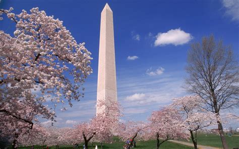 Walking guide to Washington DC's great monuments – with map