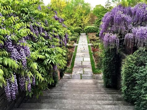 Dumbarton Oaks: Washington DC's Secret Garden - Lovicarious | Beautiful ...