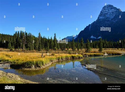 Columbia icefield alberta canada hi-res stock photography and images - Alamy