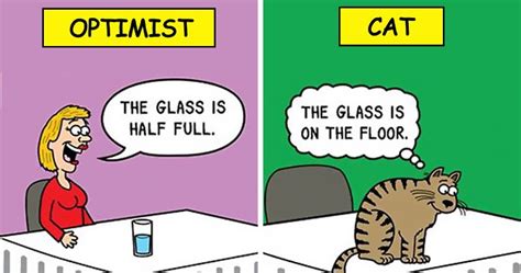 Cat Funny Cartoon