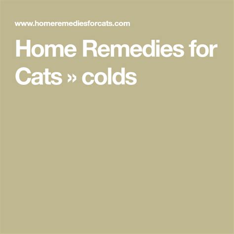 Home Remedies for Cats » colds | Cat cold, Home remedies, Natural home ...