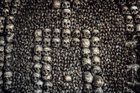 Sean Gold | The Skull Wall of Le Catacombes de Paris