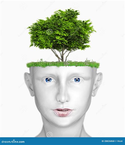 Head with tree stock illustration. Illustration of creative - 28826868