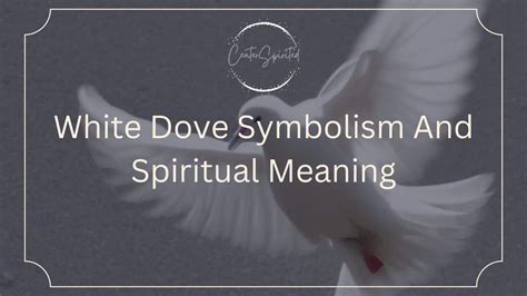 White Dove Symbolism and Spiritual Meaning