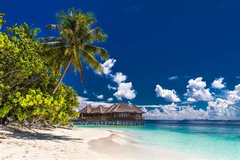 Paradise island in Maldives. Beach, blue sky by Levente Bodo on 500px