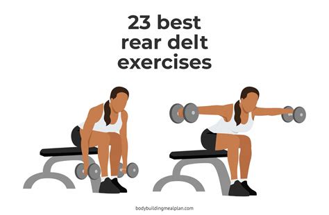 23 Best Rear Delt Exercises For 3D Shoulders