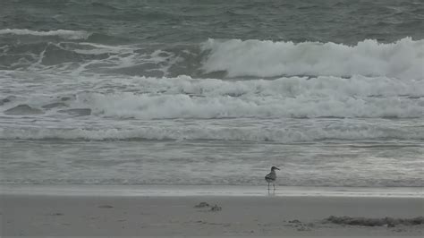 Surfers, swimmers leave Jacksonville Beach during severe weather | firstcoastnews.com