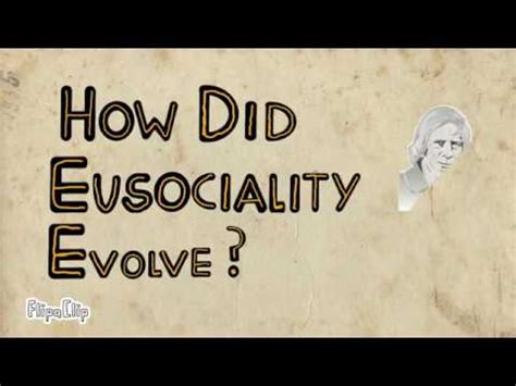 The Evolution of Haplodiploidy and Eusociality - YouTube