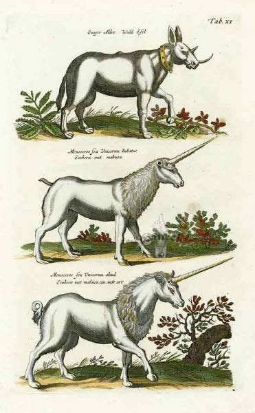 What is a unicorn’s horn made of? | Mythical creatures art, Mythical creatures, Mythical animal